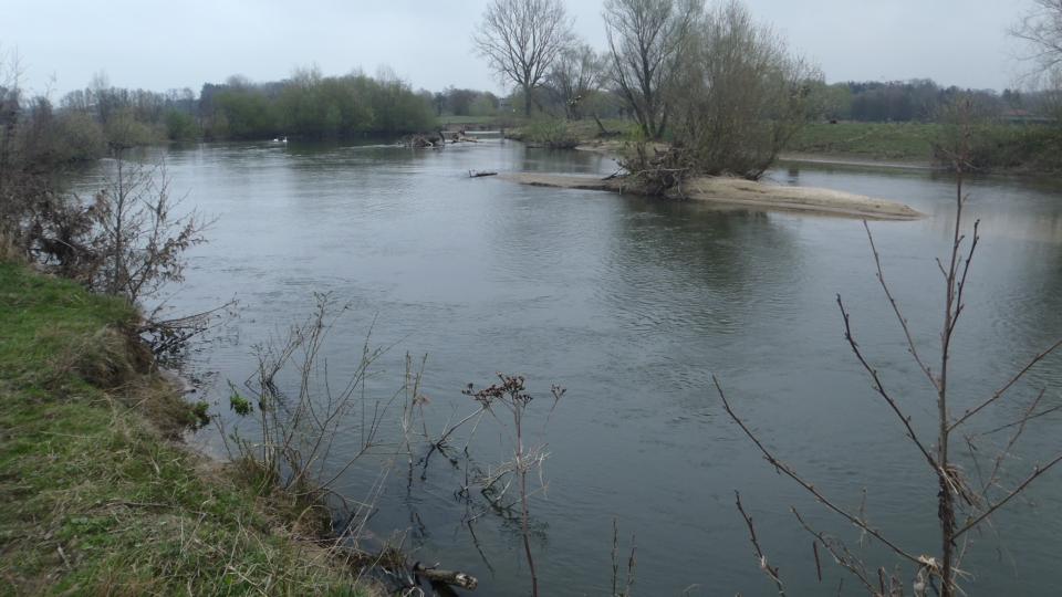 Das Foto wird von der Gewässerfläche dominiert. Rechts und links schließt Grünland an den breiten Fluss an. Im Fluss liegt eine Sandbank mit Weidenbewuchs. Im Hintergrund sind Gehölze zu sehen.