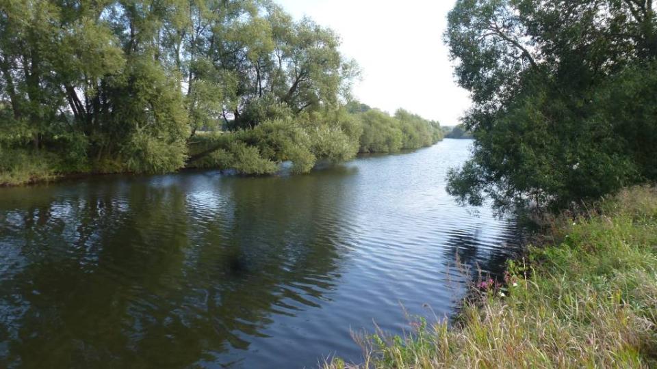 Ein Foto zeigt den relativ geradlinigen Verlauf der Ems. Die Ufer sind bewachsen, einige Bäume reichen mit ihren Ästen in das Gewässer hinein. Auf der linken Seite ist hinter der Baumreihe offenes Grünland zu erkennen.