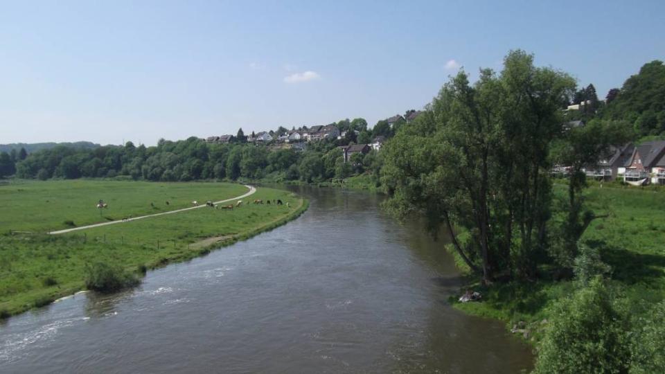 Breiter Fluss in hügeligem Gelände, Wiesen, Weg, Bäume, Häuser