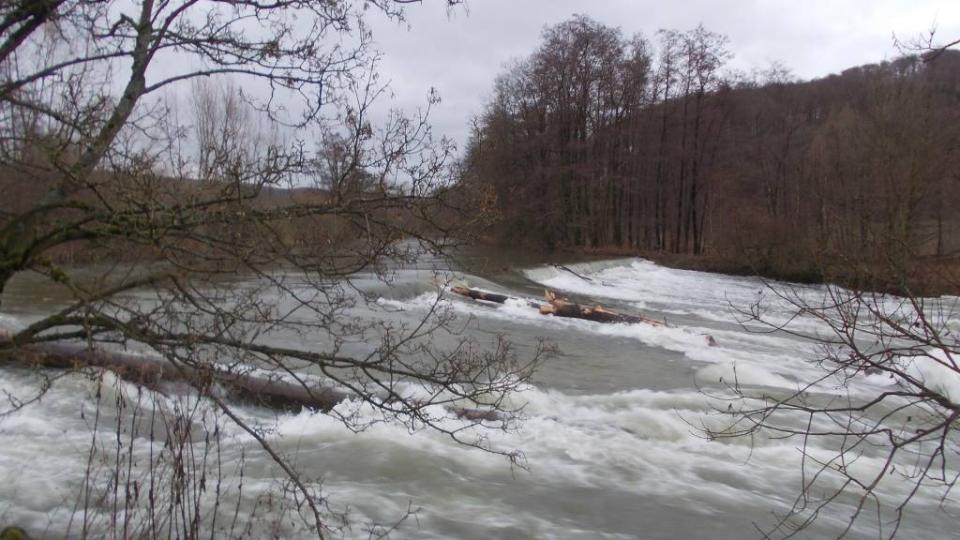 Fluss Ruhr bei einem Hochwasserereignis in einer bewaldeten Umgebung
