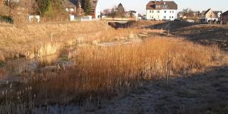 geschwungener Bachlauf mit hochgewachsenem trockenem Gras am Ufer, Häuser im Hintergrund